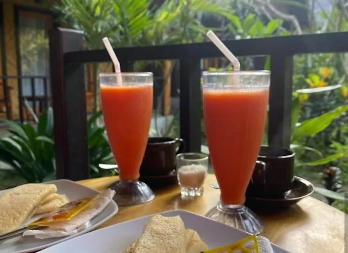 Kubu Artha Nusa Penida 2*