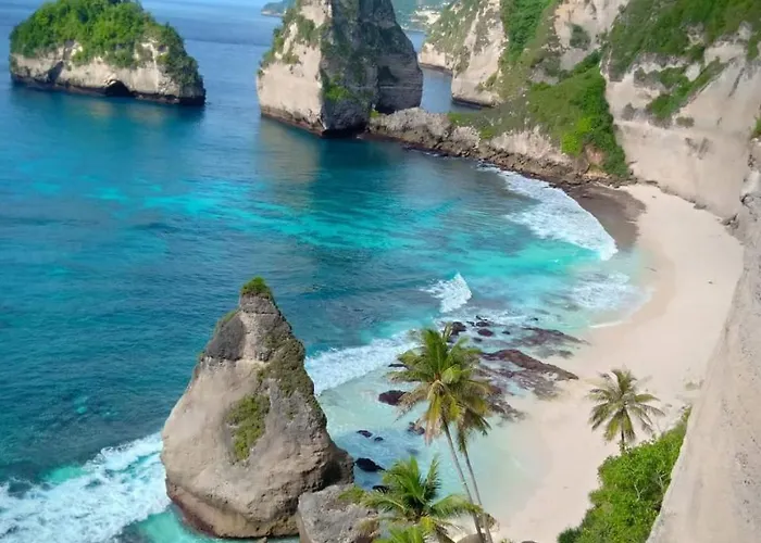 Kubu Artha Nusa Penida Ped
